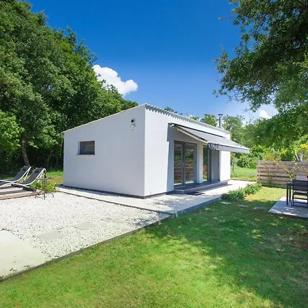 House With Pool * Loborika